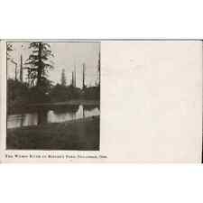 Wilson River at Bester's Ford Lithography Tillamook Oregon Postcard 1908 picture