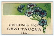 1907 Greetings From Chautauqua Flowers Glitters Illinois Correspondence Postcard picture