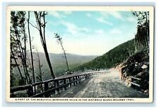 c1920s Berkshire Hill View Along Mohawk Trail Massachusetts MA Postcard picture