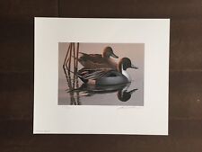 Maryland Migratory Waterfowl Color Print w/stamp -Signed by Phil Scholer-1983 picture