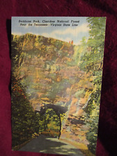 Vintage Backbone Rock Cherokee/Unaka National Forest Tennessee Virginia Postcard picture