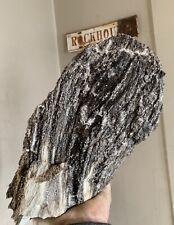 ☘️RR⛏️: Arizona Petrified Wood W/Dark Natural Smoky Quartz Crystals, 9.5 Lb picture