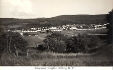 Valley View Sherwood Heights Sidney NY Vintage RPPC Postcard picture