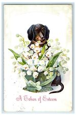 1909 Cute Dachshund Dog White Flowers Embossed Posted Antique Postcard picture