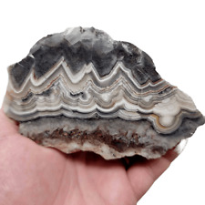Polished Old Vein Crazy Lace Agate Display Specimen picture