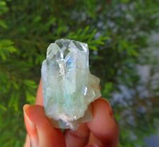 Pointed Light Green Apoophyllite Crystal Minerals Specimen #H7 picture