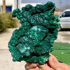 2.74LB Natural glossy Malachite cat eyetransparent cluster rough mineral sample picture
