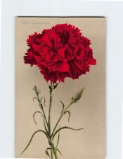 Postcard Red Carnation picture