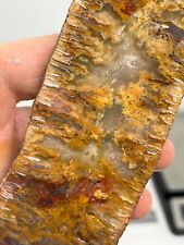 Amazing Plume Agate slab Cabbing Lapidary Carving Chakra Reiki Oregon picture