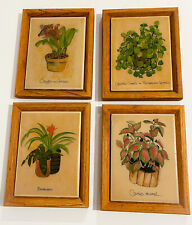 VTG Framed Art Tiles by Dandeleau 1975/1976 Plants Kimberly Enterprises Set of 4 picture