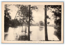 c1940's River Lynn Simcoo Ontario Canada Vintage Unposted Peco Postcard picture