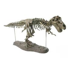 Large T Rex Tyrannosaurus Dinosaur 4d Assembled Skeleton Fossil Model Decoration picture