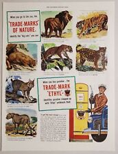 1948 Print Ad Ethyl Gasoline Gas Station Attendant & Vintage Pump Big Cats picture