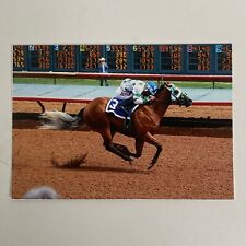 Named Quarter Horse Filly DARK NME Postcard 3.5 x 5 picture