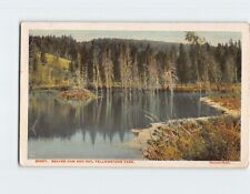 Postcard Beaver Dam And Hut, Yellowstone Park, Wyoming picture