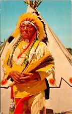 The Dignity and Poise of a Chief Postcard picture
