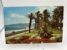 Postcard Santa Monica California Palisades Park Geranium Flower Beds Vintage PC picture