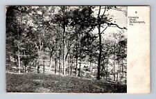 McKeesport PA-Pennsylvania, Olympia Park, Antique, Vintage c1908 Postcard picture