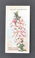 1913 Wills' Cigarette Card Australian Wildflowers No. 7 Box-Leaved Eriostemon picture