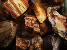 2000 Carat Lots of Unsearched Petrified Wood + a Free Faceted Gemstone picture