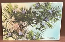 handcolored POSTCARD ~ GREETINGS from PINEHURST NC North Carolina Albertype Co. picture