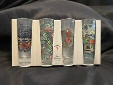 MARGARITAVILLE  It’s Five O’clock Somewhere Jimmy Buffet TALL SHOT GLASS SET picture