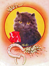 c1940's, cute cat with horseshoes, Good Luck card, nice, vintage picture
