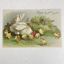 Vintage Post Card 1903 Best Easter Wishes Baby Chicks - Posted w/ Writing picture