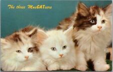 Vintage CAT Comic Postcard 