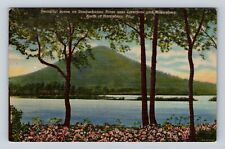 Harrisburg PA-Pennsylvania, Scenic Mountain & Susquehanna River Vintage Postcard picture