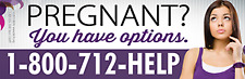 Pregnant? You Have Options Pro-Life Bumper Sticker picture