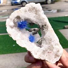 266G Rare Moroccan blue magnesite and quartz crystal coexisting specimen picture