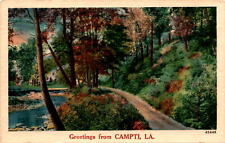 Campti, Louisiana, Natchitoches Parish, picturesque landscapes, Postcard picture