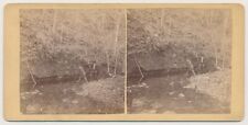 ARKANSAS SV - Hot Springs - Dripping Springs - JF Kennedy 1870s picture