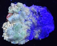 Fluorescent Wulfenite Aragonite Calcite Willimite Red Cloud Mine Arizona Mineral picture