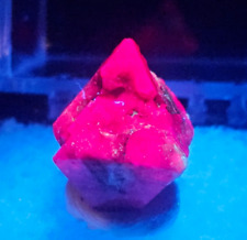 Unqiue Spinel Crystal from Vietnam, Fluorescent, Comes w Display Case, 24 carats picture