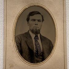 Antique Tintype Photograph Dignified Man Chin Poof Suit & Tie picture