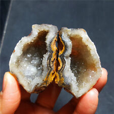 RARE 1 pair 95.2g Natural Warring States Red Agate cornucopia Crystal  5062+ picture