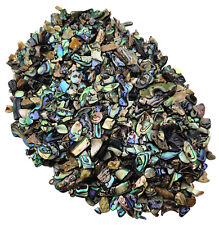 Paua Shell Pieces - Satin -  3mm - 13mm - 1/4 lb Lot - Abalone picture