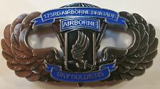 173rd Airborne Brigade Sky Soldiers US Army Challenge Coin 4