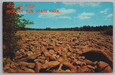 Big Boulder Lake of Rocks Field Hickory Run State Park Pennsylvania Postcard picture