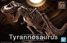1/32 IMAGINARY SKELETON Tyrannosaurus picture