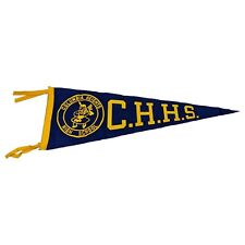 Vintage Columbia Heights High School, MN CHHS Felt Sports Pennant Flag picture
