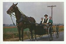 Unposted Vintage Amish PC Greetings from PA Dutch Country, courting buggy picture