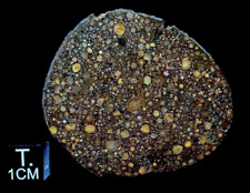 NWA 11961 Carbonaceous Meteorite ~ 
