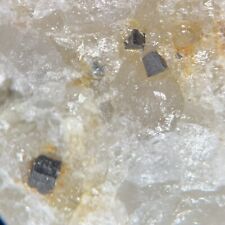 Columbite Crystal Micro In Quartz Harris Ledge Mine Mt Apatite Maine USA picture