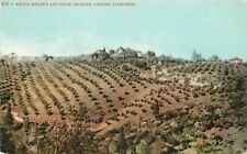 Postcard C-1910 California Auburn Aeolia Farm Agriculture Mitchell 22-13361 picture