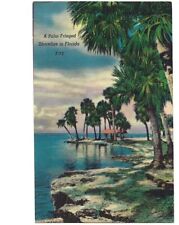 Postcard - A Palm Fringed Shoreline Colorful Linen - Florida FL - c1940 picture