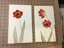 Original Vintage Pair of Water color paintings -- FLOWERS, 1976 -- unsigned picture
