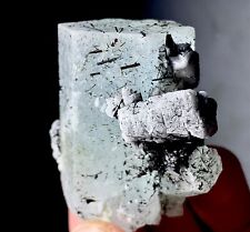 303 CT  Aquamarine Crystal With Schorl Spray Specimen From Skardu Pakistan picture